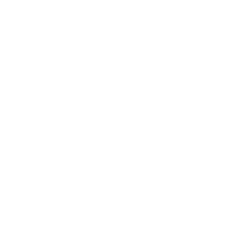 TurtleWarrior10's emblem