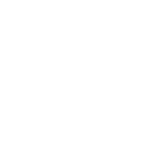 irwsp137's emblem