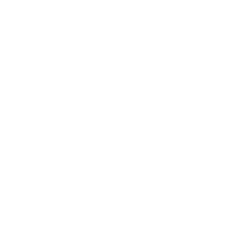 Le0nin0's emblem