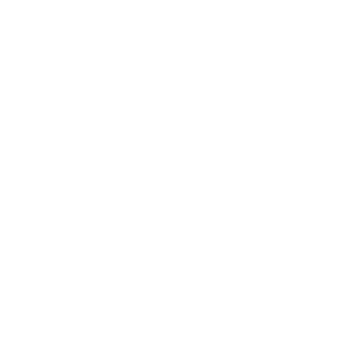BVAMAGS's emblem