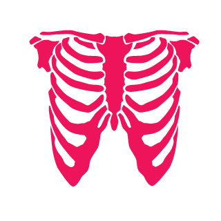 BayFighter's emblem