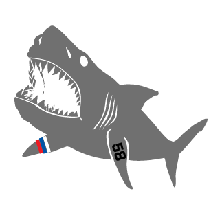 Hookca_RUS's emblem