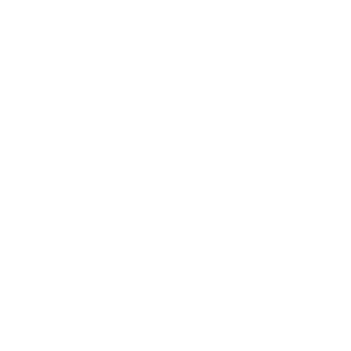 181h's emblem