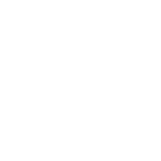 Mirrors50's emblem