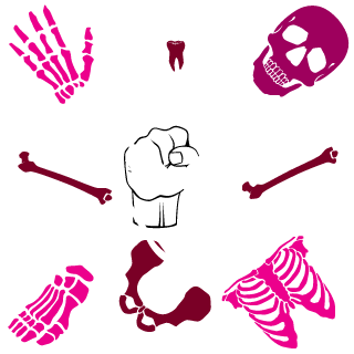 BeLbIY_NINJA's emblem