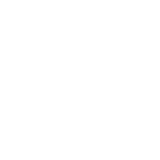 TiMe_AI-2's emblem