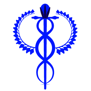 Gamermohsafouane's emblem