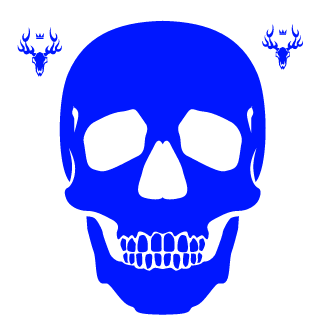 BruZerr's emblem