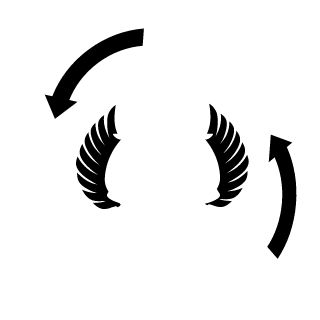 2reckless2care's emblem