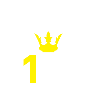 VSG24000's emblem