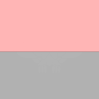 Veterany's emblem