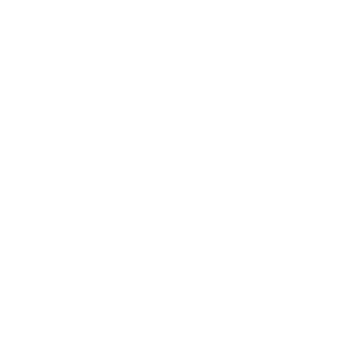 deccanprince's emblem