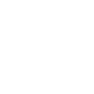 NOXTOTBOT's emblem
