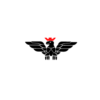 Dragonblood_17's emblem