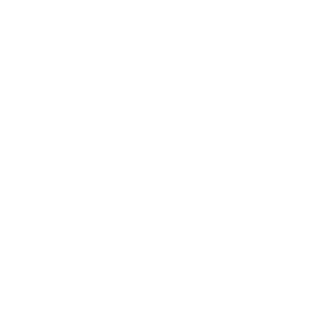 AFSARGE's emblem