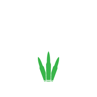 Beneji's emblem