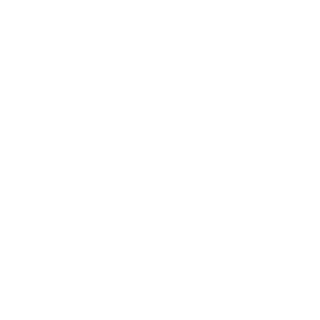 silvervine_exe's emblem