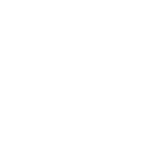 Mezkinman's emblem