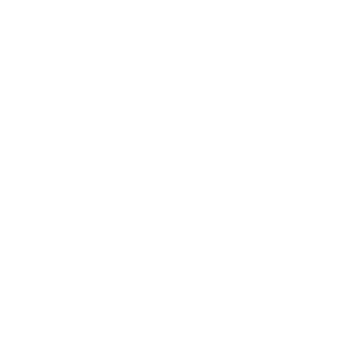 -SalvationLion-'s emblem