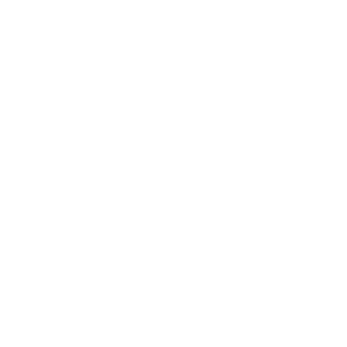 0-0_Genesis_0-0's emblem