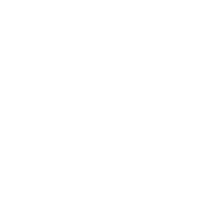 STMyang's emblem