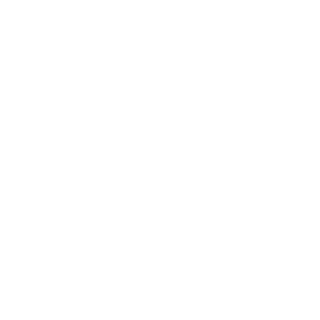01-Delta's emblem