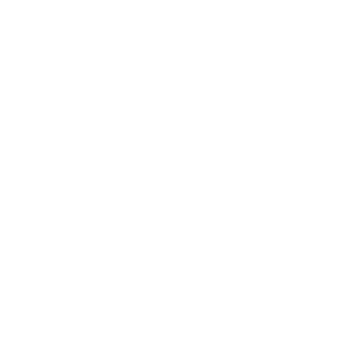 l-Blackcat-l's emblem