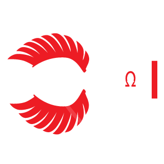 Dziczek78's emblem