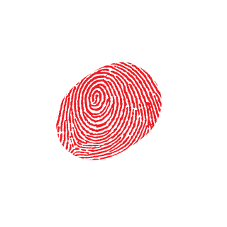 BetterBadger194's emblem