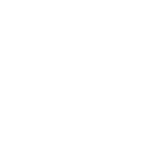 HOESE89's emblem