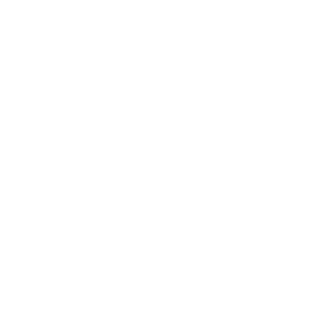 h0lmvik's emblem