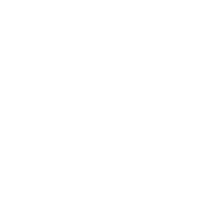 FAYST31RUS's emblem