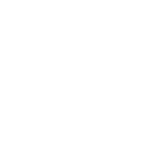 DVVolk's emblem