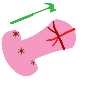 SnrAwesome's emblem