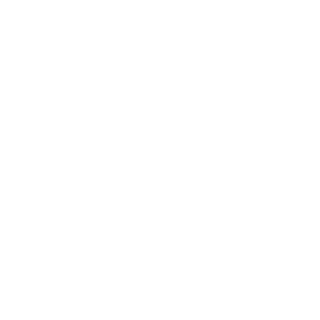 DingoAteMyFenty's emblem