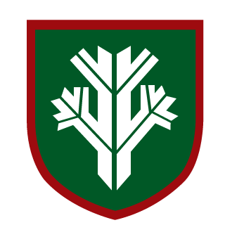 3ViL-ThunderMan's emblem