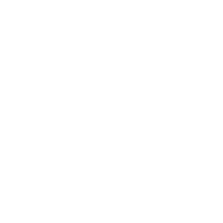 eswag11's emblem