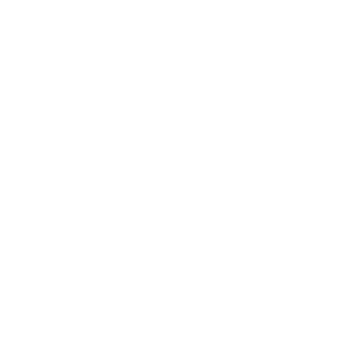 phantomchyk21's emblem