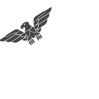 67ab1d0e2cee2179's emblem