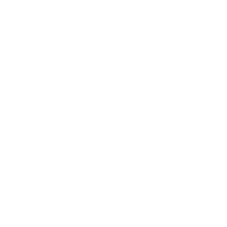 Leader-YARUO's emblem