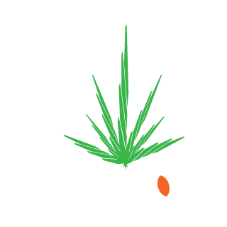HerbalZebra's emblem