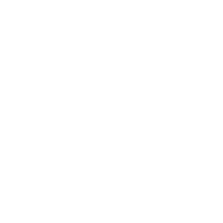 Silencer_VoV's emblem