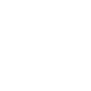 LeomarCS's emblem