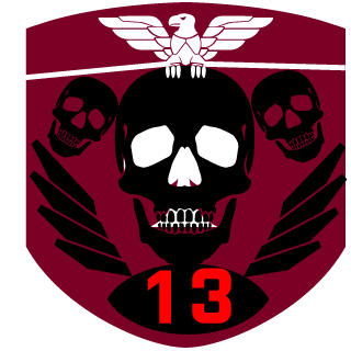 13IBMG's emblem