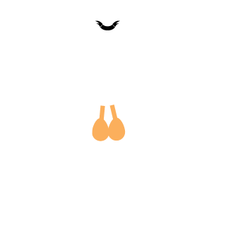 Nudelholzzzzz's emblem