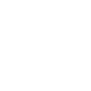 StrikerVK's emblem