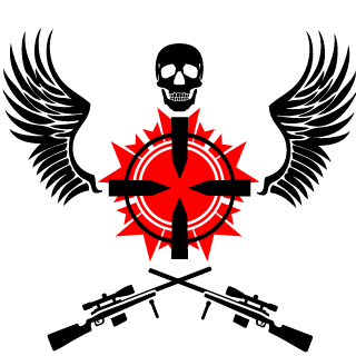 SteadyPlus's emblem