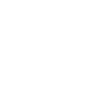 WildDuck46's emblem