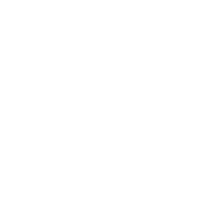 PalomotoGordoto's emblem
