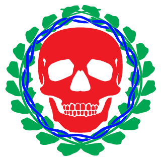 darkTROY138rus's emblem